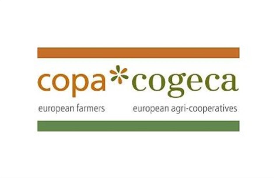 Μείον 2% οι εκτάσεις σιτηρών της ΕΕ, λέει η Copa-Cogeca